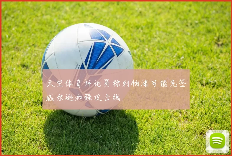 天空体育评论员称利物浦可能免签威尔逊加强攻击线